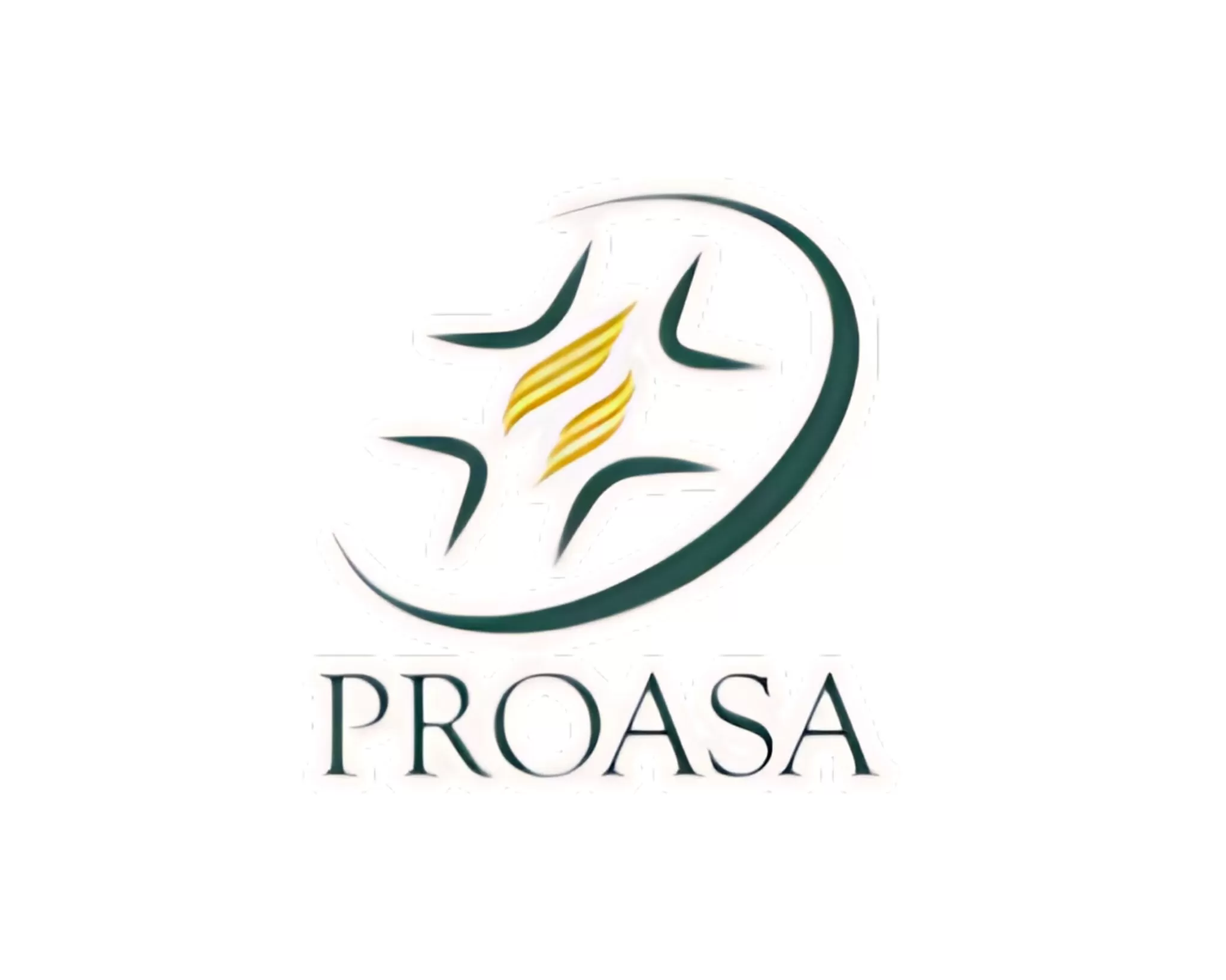PROASA-2048x1638.jpg